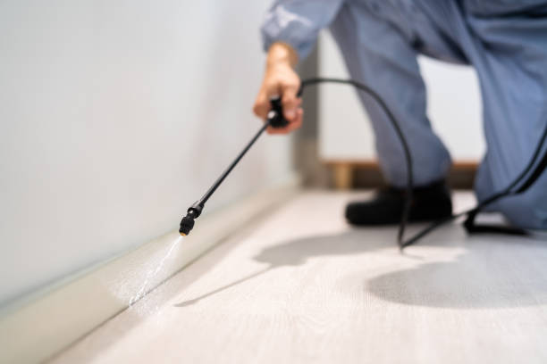 Licensed Cockroach Control service in Columbus, GA - Nex Pest Control